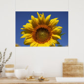 Bekijk een boe poster (Keuken)