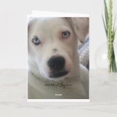 bekijk enkel dit gezicht ..... kaart (Achterkant)