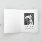 bekijk enkel dit gezicht ..... kaart (Binnen)