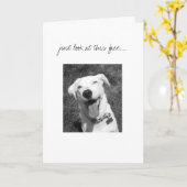 bekijk enkel dit gezicht ..... kaart (Gele Bloem)