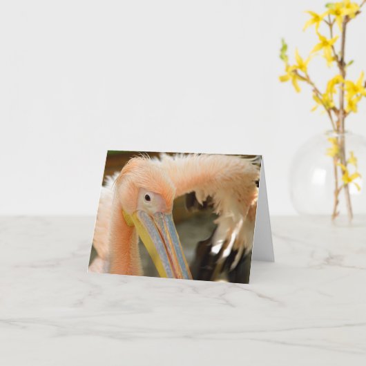 Bekijk hier de Pelican Note Kaart (Gele Bloem)