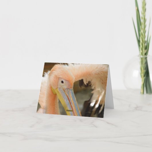 Bekijk hier de Pelican Note Kaart (Achterkant)