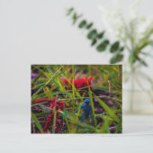 Bekijk je Briefkaart achteraan (Staand voorkant)