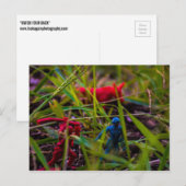 Bekijk je Briefkaart achteraan (Voorkant / Achterkant)