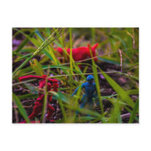 Bekijk je Briefkaart achteraan