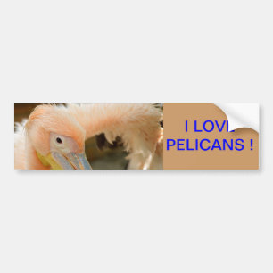 Bekijk jullie Pelican Bumpersticker
