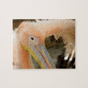 Bekijk jullie Pelican Puzzle Legpuzzel