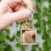 Bekijk jullie Pelican Sleutelhanger (Hand)