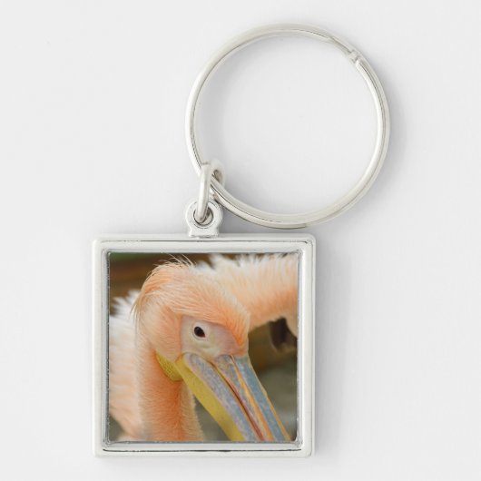 Bekijk jullie Pelican Sleutelhanger (Voorkant)