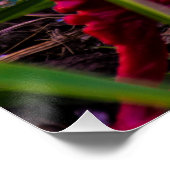 Bekijk uw achterste 20 x 20 Poster papier (halfgla (Hoek)