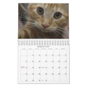Bekijk wat de Kat in de Reddingskalender van 2015  Kalender (Mar 2027)