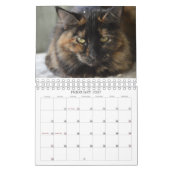 Bekijk wat de Kat in de Reddingskalender van 2015  Kalender (Feb 2027)
