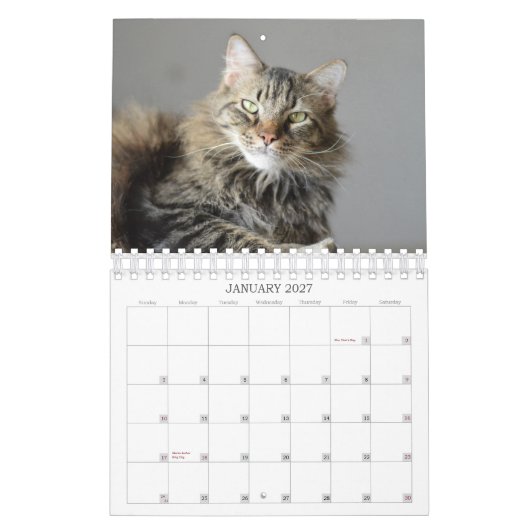 Bekijk wat de Kat in de Reddingskalender van 2015  Kalender (Jan 2027)