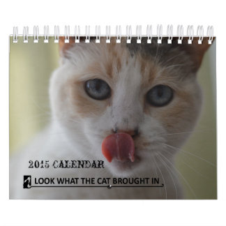 Bekijk wat de Kat in de Reddingskalender van 2015  Kalender