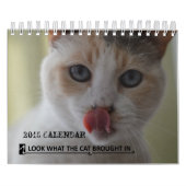 Bekijk wat de Kat in de Reddingskalender van 2015  Kalender (Hoes)