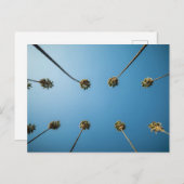 Bekijken naar palmbomen (Altadena, CA) Briefkaart (Voorkant / Achterkant)