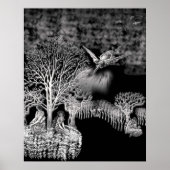 bekijken over poster (Voorkant)