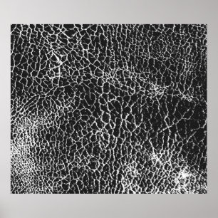 Bekledingstextuur van krokodil of slang poster