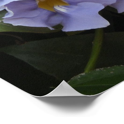 Beklimmende blikjes poster (Hoek)