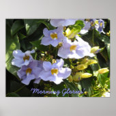 Beklimmende blikjes poster (Voorkant)