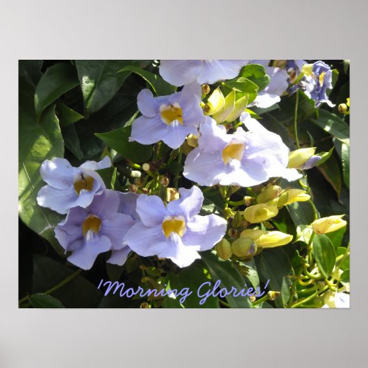 Beklimmende blikjes poster (Voorkant)