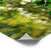 Beklimming Ivy Poster (Hoek)