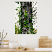 Beklimming Ivy Poster (Keuken)