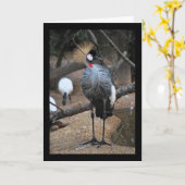 Bekroond in Goud Kaart (Gele Bloem)