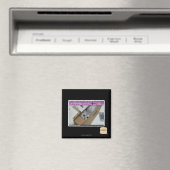 Bel 0800-LOLCATS Magneet (Insitu (Vaatwasser))