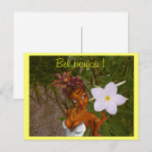 Bel bonjou! briefkaart (Voorkant / Achterkant)