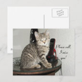 Bel Kat alstublieft Briefkaart (Voorkant / Achterkant)