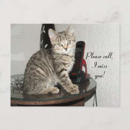 Bel Kat alstublieft Briefkaart