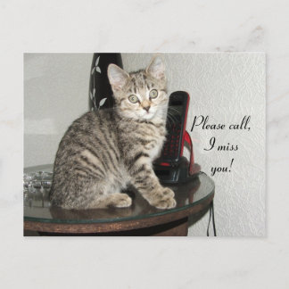 Bel Kat alstublieft Briefkaart