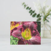 Bela Lugosi - Daylily Briefkaart (Staand voorkant)