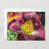 Bela Lugosi - Daylily Briefkaart (Voorkant / Achterkant)