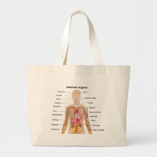 Belangrijke interne organen in de grafiek van het  grote tote bag