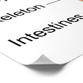 Belangrijke interne organen in het menselijk licha poster (Hoek)