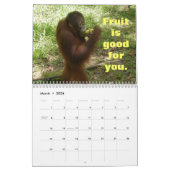 Belangrijke lessen van Krista Orangutan Calendar Kalender (Mar 2026)