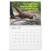 Belangrijke lessen van Krista Orangutan Calendar Kalender (Feb 2026)