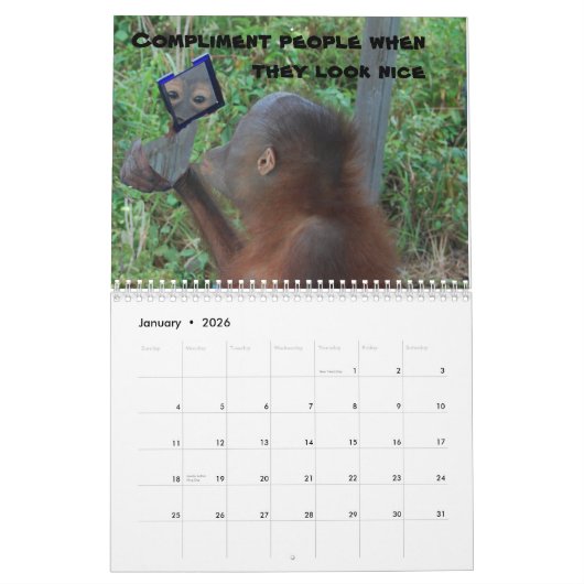 Belangrijke lessen van Krista Orangutan Calendar Kalender (Jan 2026)