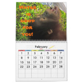 Belangrijke lessen voor terug naar school kalender (Feb 2026)