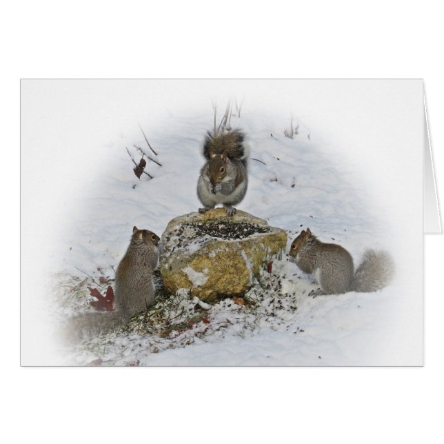 Belangrijke vergadering (Voorkant Horizontaal)