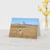 Belangrijkste Berg Montana Kaart (Gele Bloem)