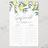 Belangrijkste knijper hoe oud de bride en het Groo Flyer (Voorkant)