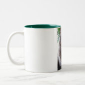 Belangrijkste Mok muntkatten (Links)