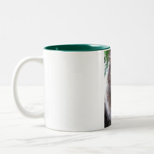 Belangrijkste Mok muntkatten (Links)