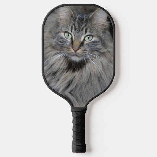 Belangrijkste muntkatten pickleball paddle (Voorkant)