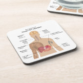 Belangrijkste symptomen van acute HIV-infectie Drankjes Onderzetter (Linkerzijde)