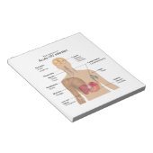 Belangrijkste symptomen van acute HIV-infectie Notitieblok (Schuin)