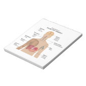 Belangrijkste symptomen van acute HIV-infectie Notitieblok (Linkerzijde)